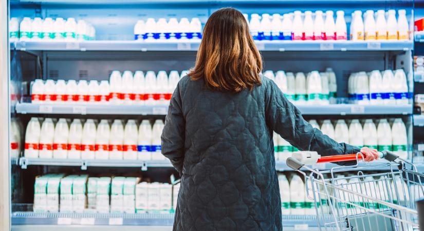 51 étel, amiről a Fidesz már örökké eszünkbe fog jutni