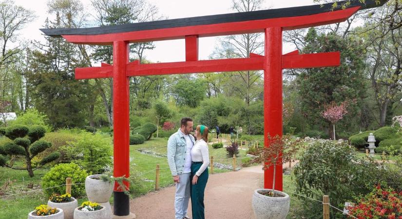 Zöld programok: különleges családi nappal készül a szegedi Füvészkert