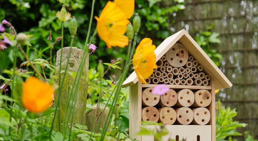 Rovarhotelek: tényleg hasznosak, vagy csak divatosak?