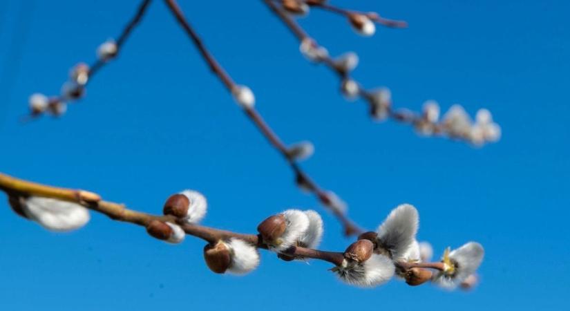 Időjárás: napos idő vár ránk szombaton