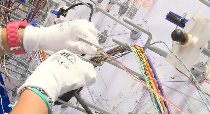 A Leoni egyik dolgozója szerint veszélyben van a kraljevói üzem működése