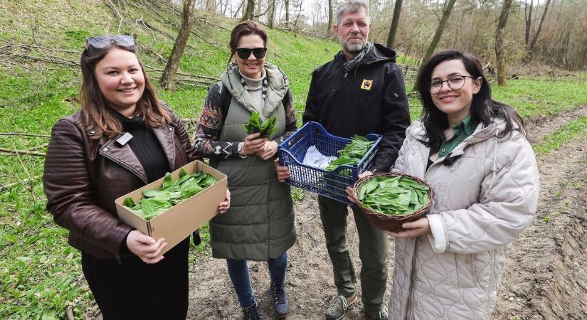 Ha megszedtük magunkat medvehagymával, irány a konyha! – Nagyon menő recepteket mutatunk!