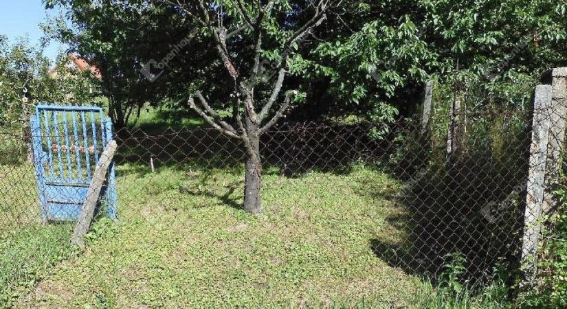 Telkek, megfizethető áron – vigyázz, nem mindegyiken lehet építkezni!