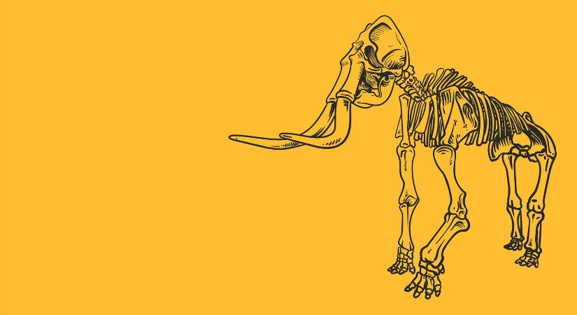 Fellinger Károly: Elefánttemető