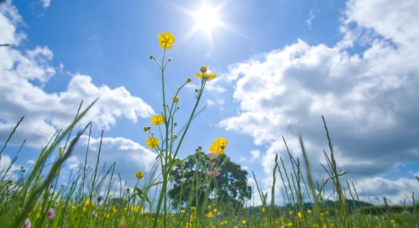 Meteorológia: a pénteki volt az év eddigi legmelegebb napja