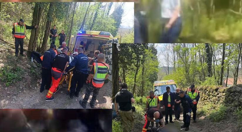 Megtalálták az eltűnt idős hölgyet Tapolca közelében – összehangolt keresés hozott eredményt (videó)