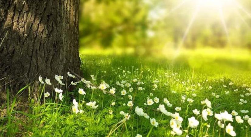 Túl vagyunk az év eddigi legmelegebb napján