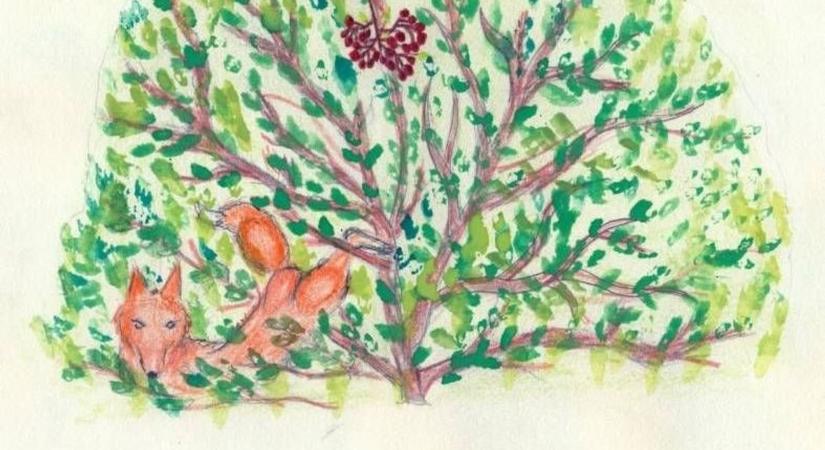 Több mint 1300 szavazatot kapott a balástyai mese