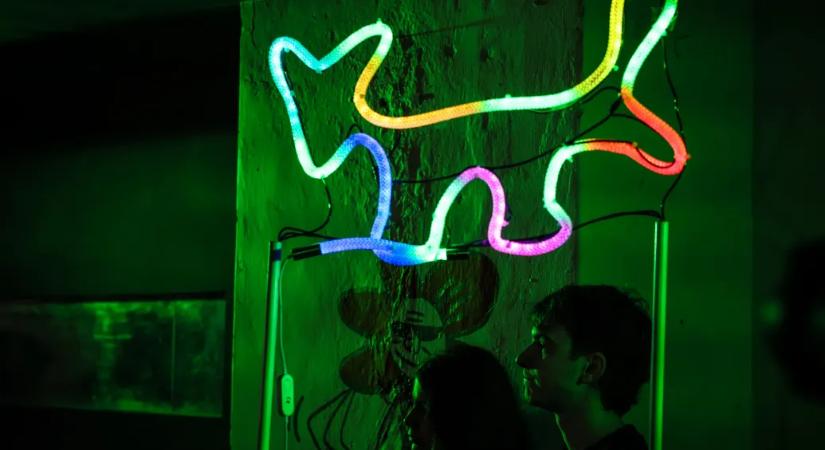 Azért költötték el a 686 millió forintot a kutyapártosok, mert fel sem merült bennünk, hogy nem érik el az egy százalékot