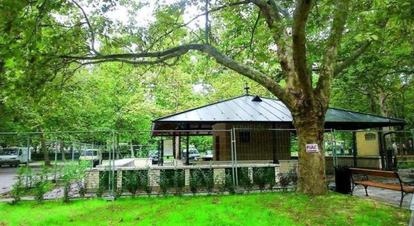 „Technikai okok miatt zárva” – Utánajártunk, miért üresek a standok a Balatoni talán legkedveltebb piacán