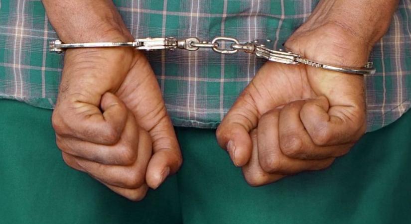 Diplomahamisítókat vettek őrizetbe