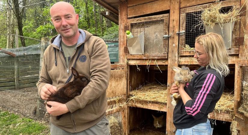 Ez most Dunaújváros legcukibb helye – mutatjuk, miért