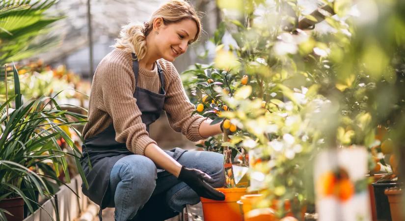 Nem a locsolás a megoldás? Ezzel mentheti meg a kertjét a kiszáradástól