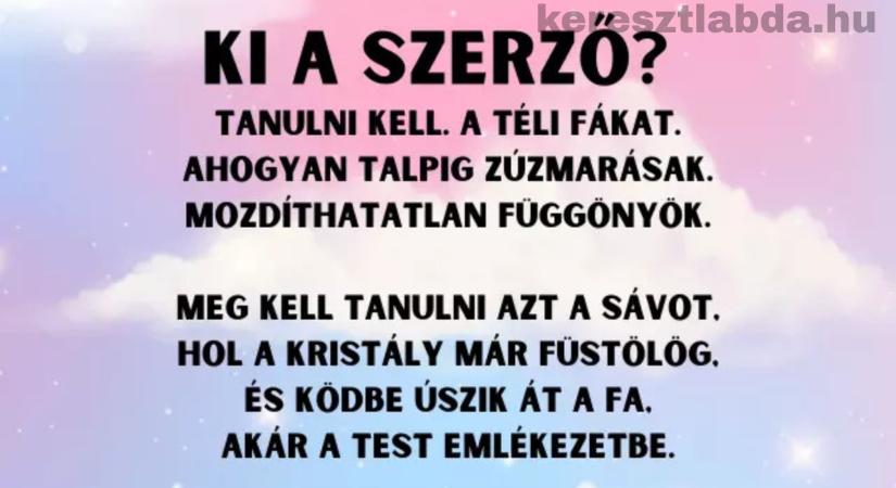 Napi irodalom feladat: Zúzmarás fák, sztoikus csend – felismered, kinek a verse?