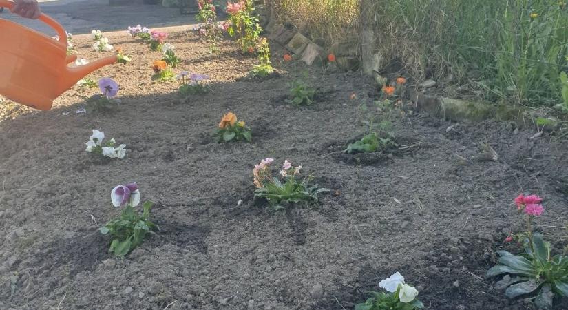 Igazi kis édenkertet hoztak létre a helyi bolt mellett