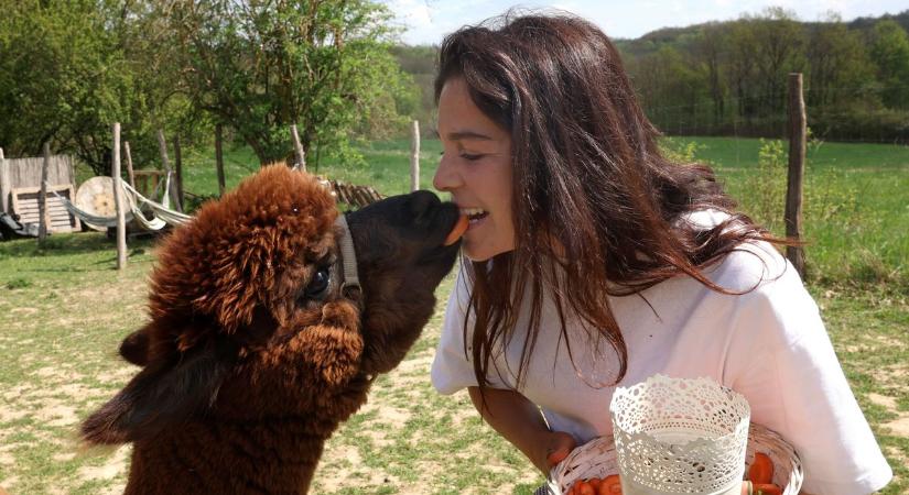 Egy merész álomból született valóság - egy kaposvári anyuka története