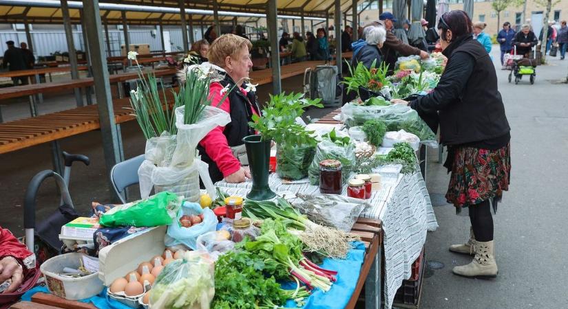 Alkudni vagy nem alkudni? Kiderült, mi a helyzet a Mars téri piacon