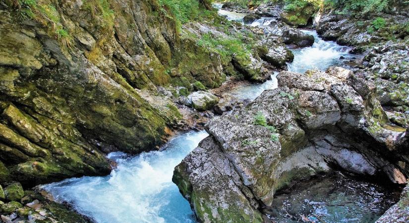 Félmillió eurót követel a magyar nő egy baleset miatt Szlovéniától