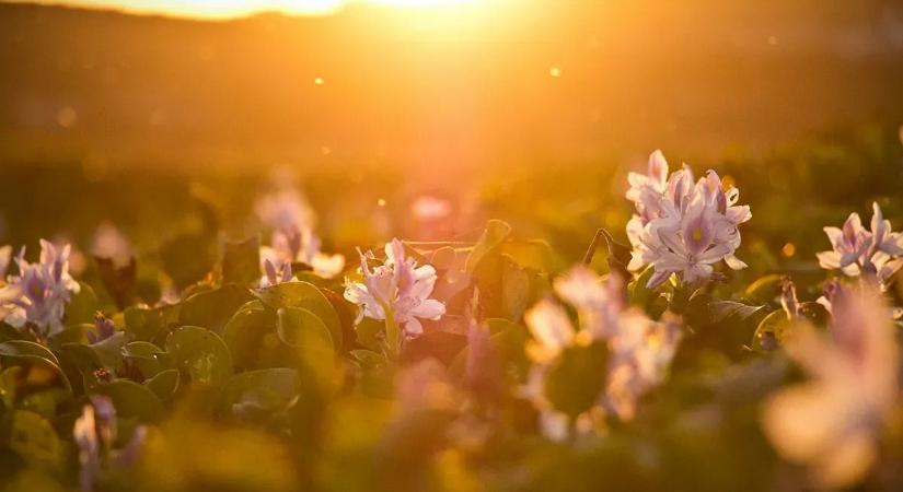 Beindult tavasz – megvan az év eddigi legmelegebb napja, de a Kékesen még elkelt a kabát