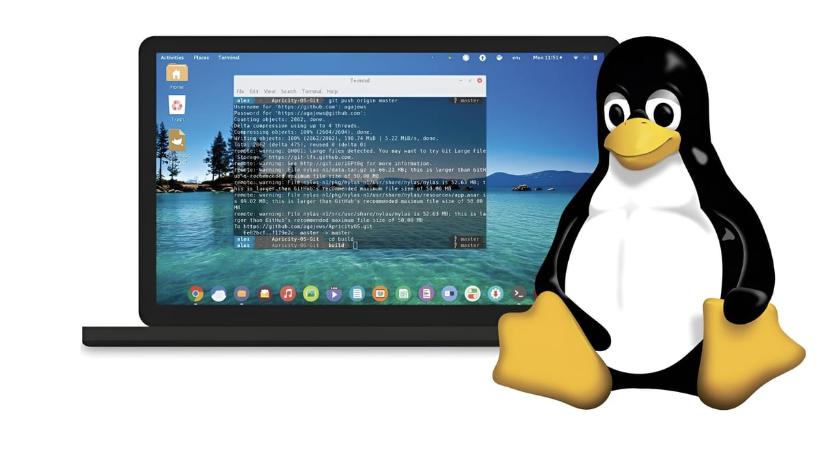 Viszlát Windows, szevasz Linux! – mondják a franciák