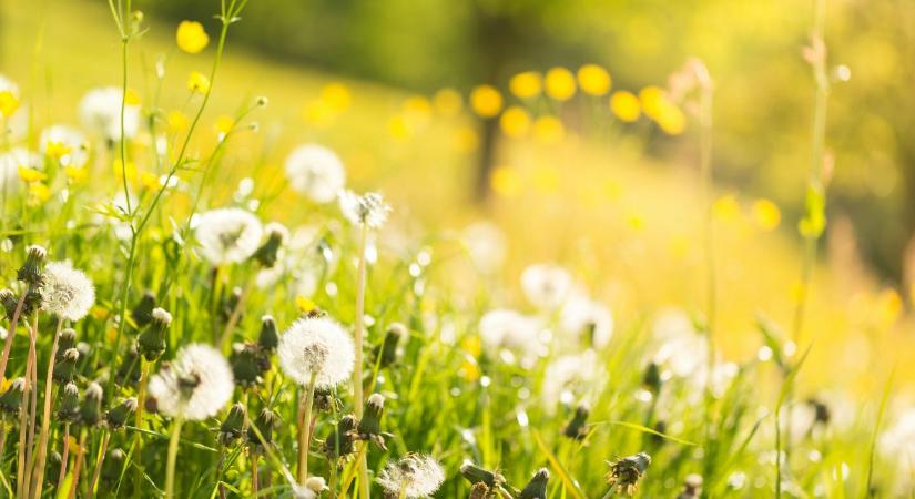 Vége a találgatásoknak: ez volt az idei év eddigi legmelegebb napja