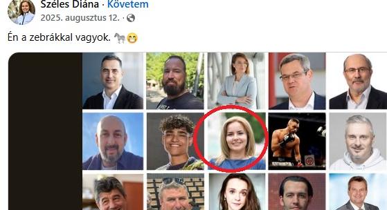 Hivatalos: tíz zebrája van Mészáros Lőrinc vadásztársaságának, Széles Diána nagyot koppant