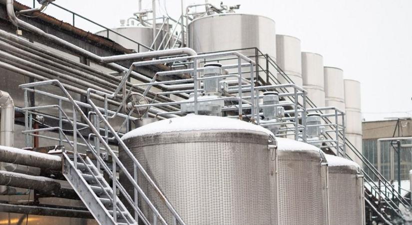 Bezár az ikonikus balatoni borászat! Mi lesz veled, BB?