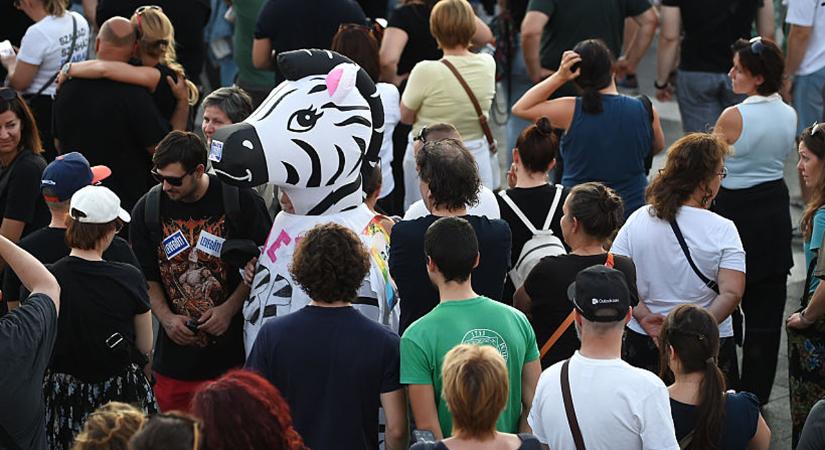 Kiderült: 10 zebrája van Mészáros Lőrinc vadásztársaságának