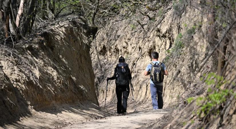 Hahó, vége a választásnak, ideje lenyugodni! Irány a Szekszárdi-dombság!