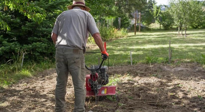 Tavaszi kerti munkák tudatosan - amikor a kert rendben tartása pénzügyileg is előnyös