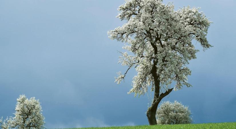 Tartogat még meglepetéseket a szeszélyes április