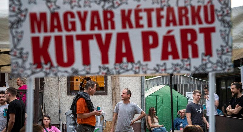 Elverték a kampánytámogatási pénzt a kutyapártosok, most vissza kell fizetniük