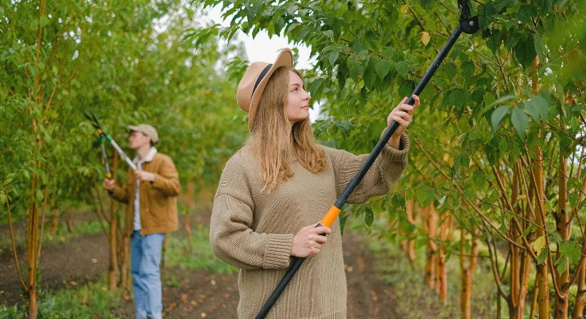 Sokan magyar most rontja el végzetesen – így teszik tönkre a fáikat áprilisban