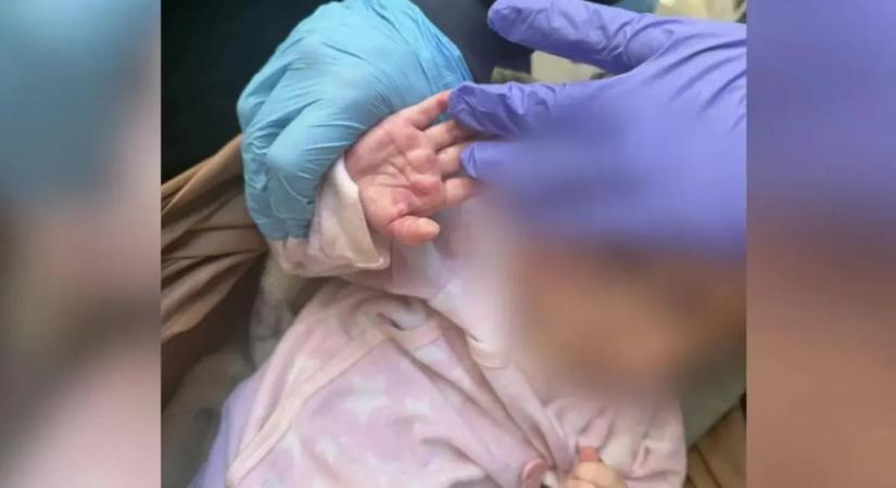 11 kutyát és egy eldeformálódott koponyájú csecsemőt mentettek ki a horroranya lakásából – videóval