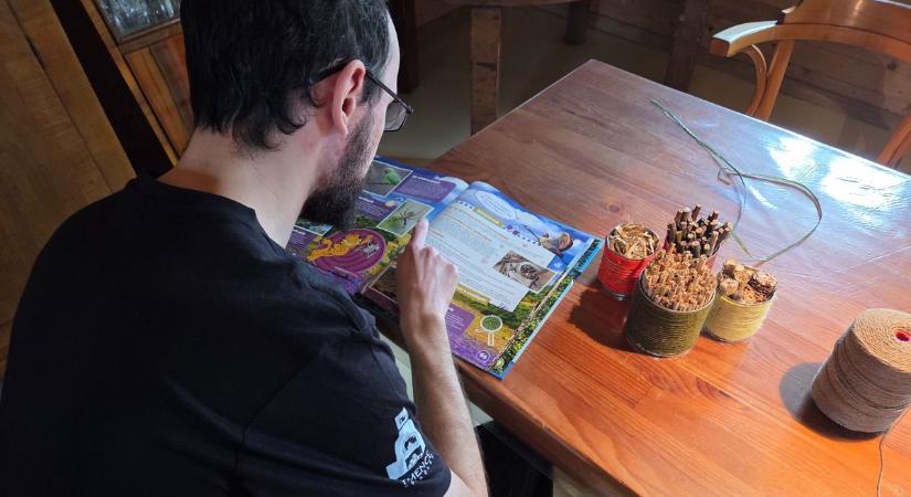 Színes otthon a szorgos zümmögőknek: Samai Szilveszter megmutatta a tökéletes rovarhotel titkát