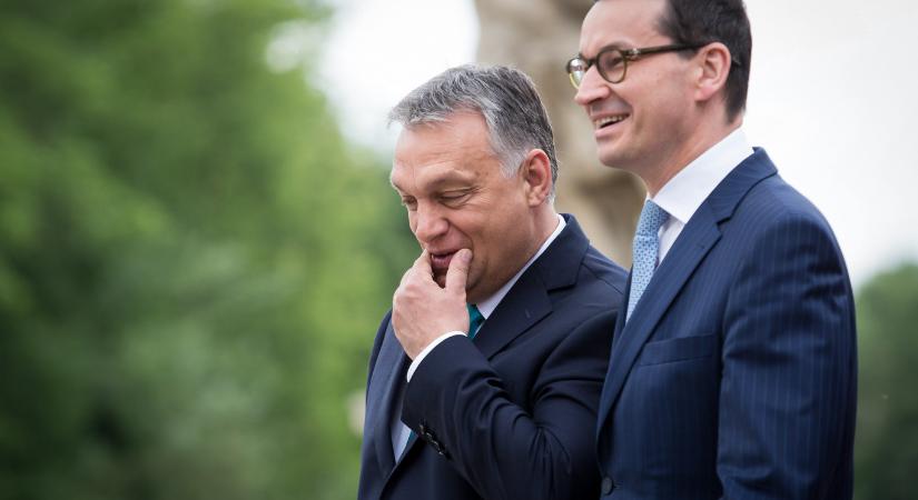 Három évvel a vereség után még mindig belharcokkal bajlódik a Fidesz lengyel szövetségese