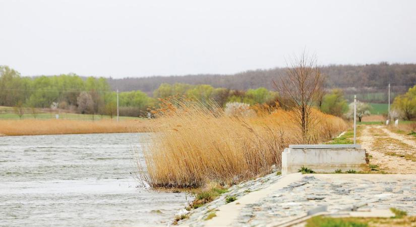 Amikor a víz már nem magától értetődő: előadás a jövő egyik legnagyobb kihívásáról