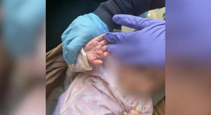 Döbbenetes állapotok Zuglóban: 11 kutyával, emberi ürülékkel teli lakásban élt egy terhes nő kisgyermekével – helyszíni videó