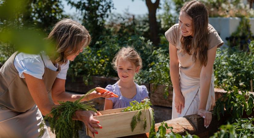Egy füzetnyi jó tanáccsal segíti az agrárkamara az otthon kertészkedőket