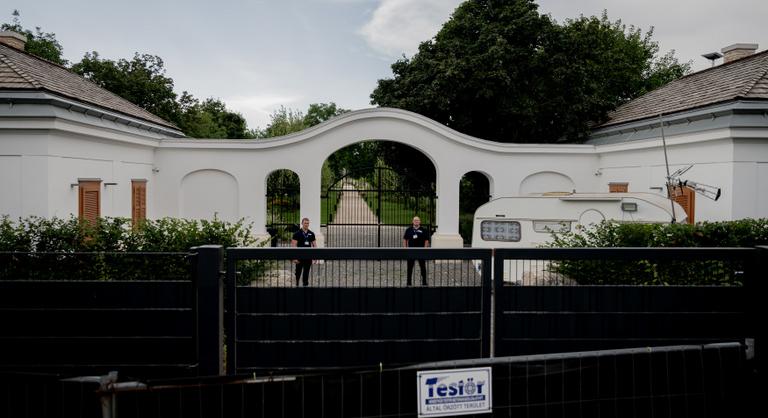 Kiderült, pontosan hány zebra található Hatvanpusztán