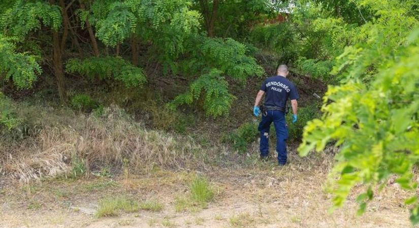 Eltűnt egy 1 hónapos kisbaba - A fél ország Evront keresi