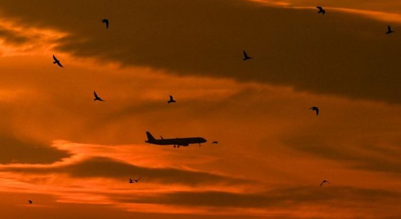 Hatalmas a baj, a németek is beismerték: nem lesz üzemanyag