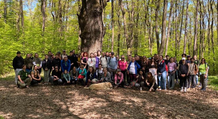 Közös gyaloglás és faültetés - Így telt az idei egyetemi túranap Sopronban - fotók