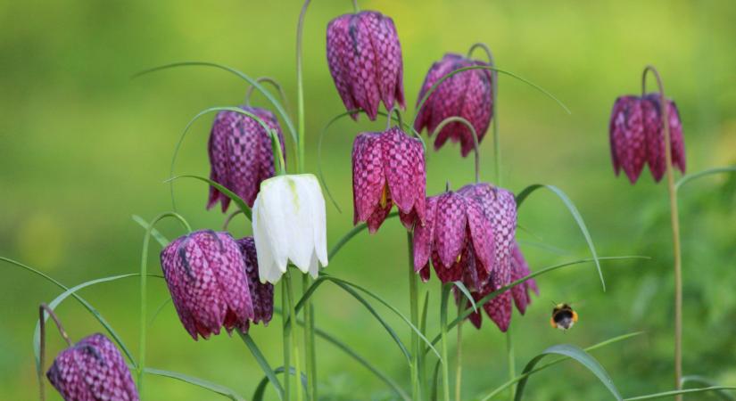 Pillanatok alatt tűnik el a kellemes tavaszi meleg: kíméletlen hidegfront mossa el Magyarországot