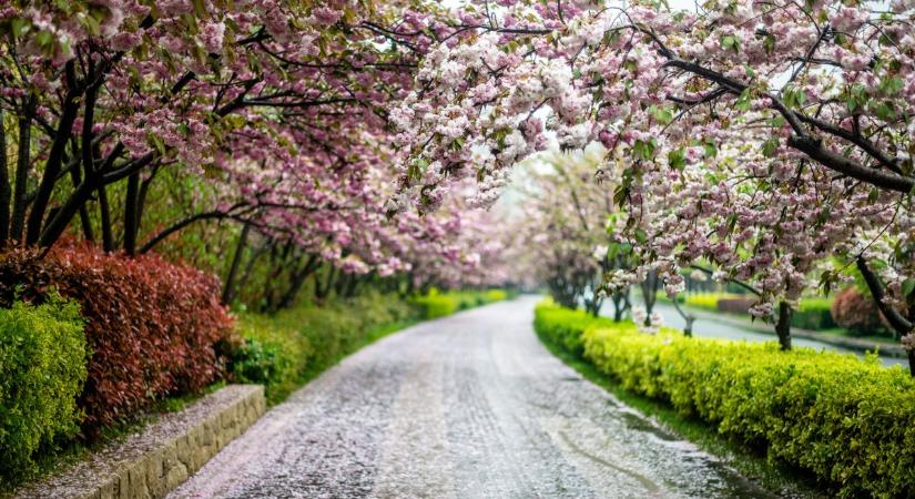 Dermesztő fordulat: hidegfront csap le Veszprémre – percek alatt jöhet a lehűlés és az eső!