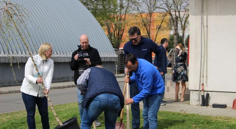 Néha elég egy vödör víz, egy ásó és a tenni akarás a jövőnkért
