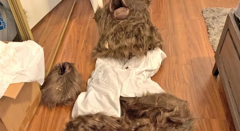 Medvejelmezben rongáltak meg luxusautókat Kaliforniában, aztán begyűjtötték a pénzt a biztosítóktól