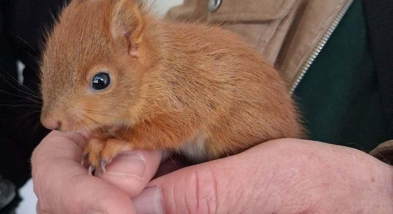 Sorban kerülnek bajba a bébimókusok (veol.hu)