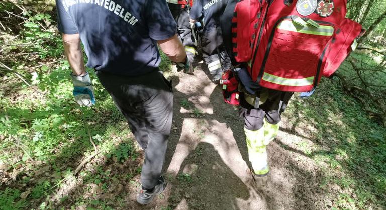 Összehangolt mentőakció a Börzsönyben, hegyimentők és tűzoltók mentettek ki egy túrázót