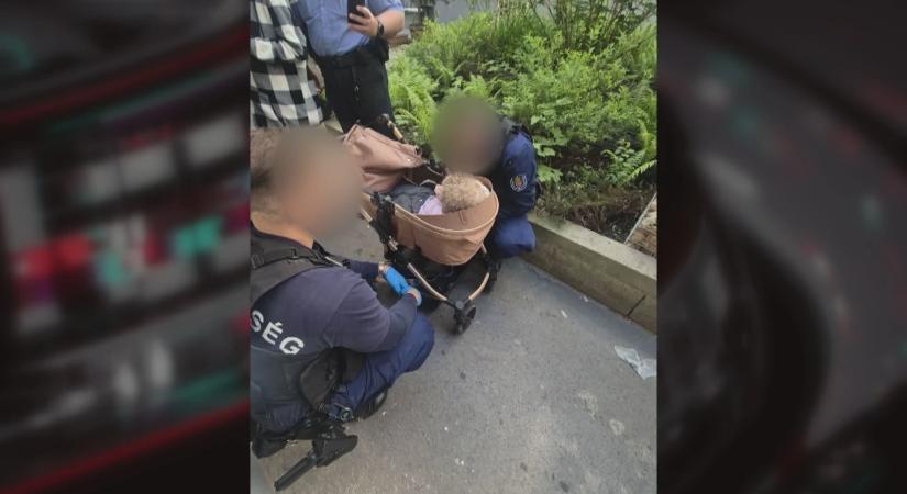 Kutyákat mentettek, de egy csecsemőt is találtak a koszos lakásban